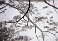 encre de chine_0016